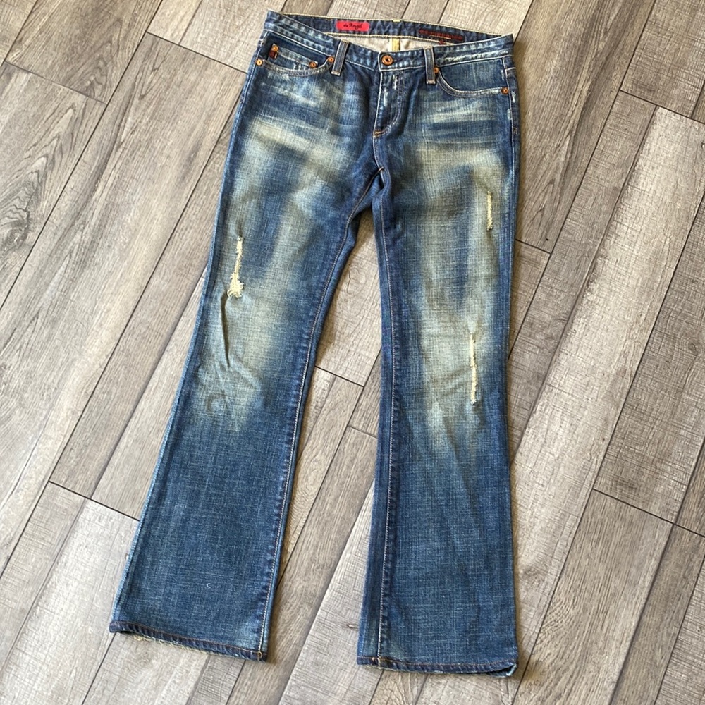 Adriano Goldschmied Angel Jeans 27R